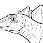 coloriage Stegosaurus educatif pour enfant