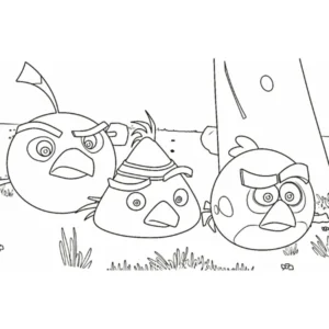 coloriage Angry Birds à imprimer pour enfant de 8 ans