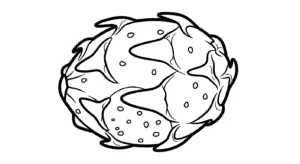 coloriage Fruit du Dragon a imprimer gratuitement