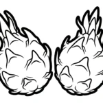 coloriage Fruit du Dragon gratuit en ligne