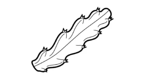 coloriage Fruit du Dragon à imprimer pour enfant de 2 ans