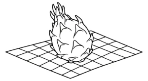 coloriage Fruit du Dragon a imprimer