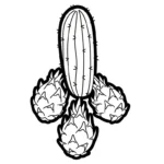 coloriage Fruit du Dragon et dessins