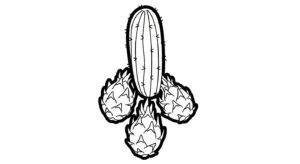 coloriage Fruit du Dragon et dessins