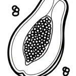 coloriage Papayer pour enfant