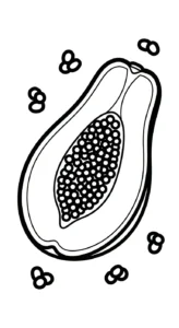 coloriage Papayer pour enfant