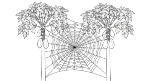 coloriage Papayer a imprimer pour enfant de 4 ans