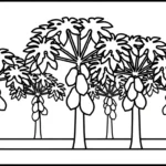 coloriage Papayer à imprimer pdf