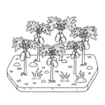 coloriage Papayer pour enfants a imprimer gratuit