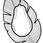 coloriage Papayer pour primaire
