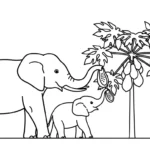 image pour coloriage Papayer enfant