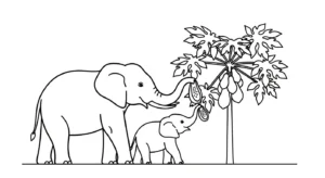 image pour coloriage Papayer enfant