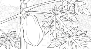 coloriage Papayer et decoupage a imprimer gratuit