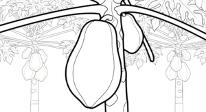 coloriage Papayer gratuit pour enfants