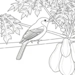 coloriage Papayer et dessins