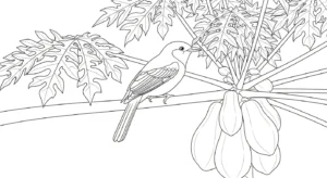 coloriage Papayer et dessins