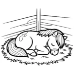 Poney