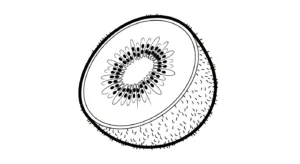 coloriage kiwi a colorier en ligne