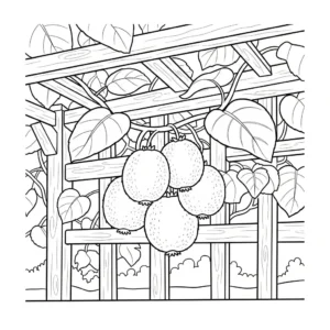 image pour coloriage kiwi enfant
