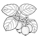 coloriage kiwi à imprimer a4