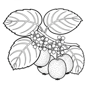 coloriage kiwi à imprimer a4