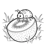 coloriage kiwi gratuit à imprimer