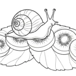 coloriage kiwi pour enfants a imprimer
