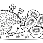coloriage kiwi et dessin a imprimer