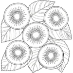 coloriage kiwi pour enfant de 5 ans