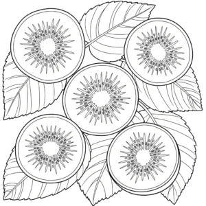 coloriage kiwi pour enfant de 5 ans