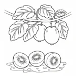coloriage kiwi à imprimer pour enfant de 6 ans
