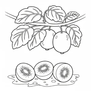 coloriage kiwi à imprimer pour enfant de 6 ans