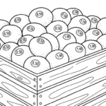 coloriage kiwi a colorier en ligne gratuitement
