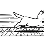 imprimer coloriage Chaton gratuit