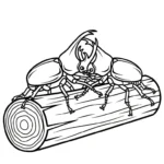 coloriage Coleoptera à imprimer pour enfant de 8 ans