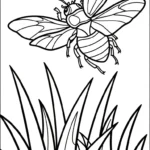 coloriage Coleoptera pour enfants