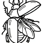 coloriage Coleoptera à imprimer pdf gratuit