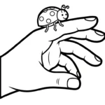 coloriage Coleoptera gratuit pour enfants