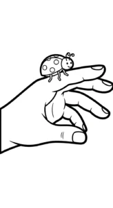 coloriage Coleoptera gratuit pour enfants