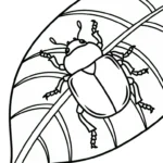 coloriage Coleoptera à imprimer pour enfant de 3 ans