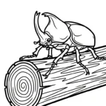 coloriage Coleoptera pour enfant à imprimer