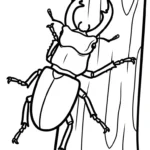 coloriage Coleoptera à imprimer gratuit