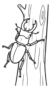 coloriage Coleoptera à imprimer gratuit