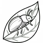 coloriage Coleoptera et dessin a imprimer