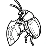 coloriage Coleoptera pour enfant de 3 ans