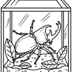 coloriage Coleoptera à imprimer gratuitement