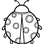 coloriage Coleoptera gratuit en ligne