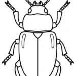 coloriage Coleoptera à imprimer gratuitement