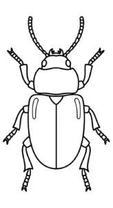 coloriage Coleoptera à imprimer gratuitement