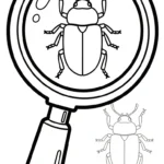coloriage Coleoptera à imprimer pour enfant de 9 ans